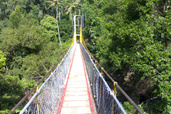 1992 -  Amchur-Peraje, Karnataka.